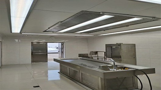 探秘，揭開振弘雙排風解剖臺的神秘面紗